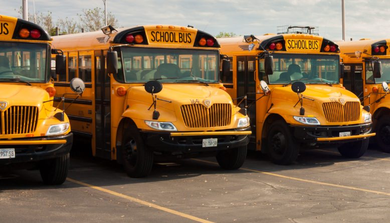 Buses
